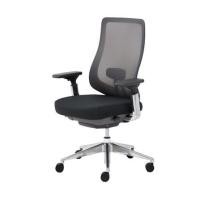 ราคา เก้าอี้สุขภาพ MODERNFORM SERIES 16 PREMIUM สีเทา (1316929)