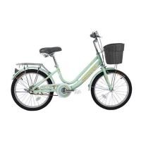 ราคา จักรยานแม่บ้าน RACCOON 20 นิ้ว สีเขียว (1256797)