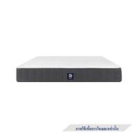 ราคา ที่นอนสปริง 3.5 ฟุต สุญญากาศ MERCURY MATTRESS รุ่น VIENNA (1272860)