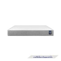 ราคา ที่นอนยางพารา 3 ฟุต สุญญากาศ MERCURY MATTRESS รุ่น SEOUL (1276346)