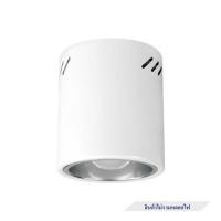 ราคา ดาวน์ไลท์ LUMAX 25-01919 5 นิ้ว สีขาว กลม (1273820)