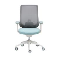 ราคา เก้าอี้สุขภาพ MODERNFORM SERIES16S สีฟ้า (1317440)