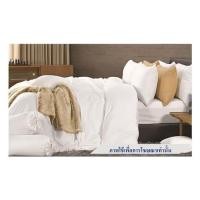 ราคา ชุดผ้าปูที่นอน 3.5 ฟุต 4 ชิ้น FACINO SOLID SF029 (1262985)