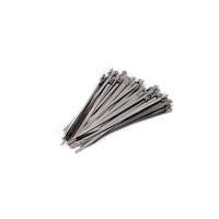 ราคา เคเบิ้ลไทร์สเตนเลส TAKAMURA 4 นิ้ว 4.6x100 มม. สีเงิน (แพ็ก 50 ชิ้น) (1275973)
