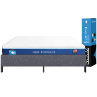 ราคา ที่นอนเมมโมรี่โฟม 3.5 ฟุต NOOZ EVENING LITE EVO มาพร้อมกับฐานเตียง 3.5 ฟุต NOOZ PIXEL BED FRAME (ไม่มีหัวเตียง) (888170800350)