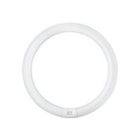 ราคา หลอดนีออนกลม TLE PHILIPS 32/86 CDL สีขาว G10q (91840)