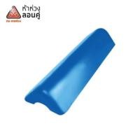 ราคา ครอบปิดชาย ลอนคู่ ตราห้าห่วง 18x59x9 ซม. สีฟ้ารุ่งอรุณ (1168756)