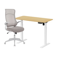 ราคา เซ็ตโต๊ะปรับระดับไฟฟ้า+เก้าอี้ทำงานเพื่อสุขภาพ LUNIO ERGO SPACE II (SIZE 120 X 60 CM) + ADAM DOT.2 ERGO CHAIR GRAVITY (สีเทา) (888170800254)