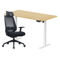ราคา เซ็ตโต๊ะปรับระดับไฟฟ้า LUNIO ERGO SPACE II (SIZE 160 X 80 CM) + เก้าอี้ทำงานเพื่อสุขภาพ LUNIO ERGO APOLLO SMART X2 (สีดำล้วน) (888170800303)