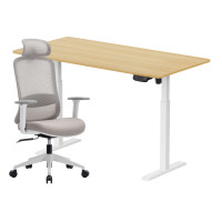 ราคา เซ็ตโต๊ะปรับระดับไฟฟ้า LUNIO ERGO SPACE II (SIZE 160 X 80 CM) + เก้าอี้ทำงานเพื่อสุขภาพ LUNIO ERGO STARLIGHT CHAIR (สีขาว) (888170800320)