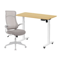 ราคา เซ็ตโต๊ะปรับระดับไฟฟ้า มีล้อ LUNIO ERGO SPACE II (SIZE 120 X 60 CM) + เก้าอี้ทำงานเพื่อสุขภาพ ADAM DOT.2 ERGO CHAIR GRAVITY (สีเทา) (888170800307)