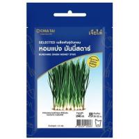 ราคา เมล็ดพันธุ์หอมแบ่ง มันนี่สตาร์ ตราเจียไต๋ 0.5 กรัม (1017598)