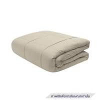 ราคา ซองผ้านวม PICASSO PB NANO SILK 60x80 นิ้ว สี CREAM (1324210)