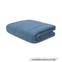 ราคา ซองผ้านวม PICASSO PB NANO SILK 60x80 นิ้ว สี BLUE (1324227)