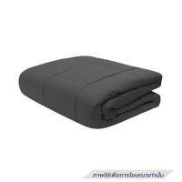 ราคา ซองผ้านวม PICASSO PB NANO SILK 60x80 นิ้ว สี GREY (1324242)