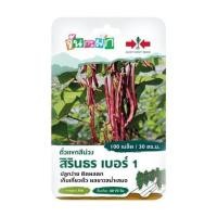 ราคา เมล็ดพันธุ์ ถั่วแขกสีม่วง สิรินธร เบอร์ 1 ศรแดง 100 เมล็ด (1188399)