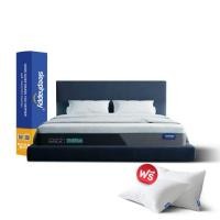 ราคา ที่นอนยางพาราธรรมชาติและเมมโมรี่โฟม 6 ฟุต SLEEPHAPPY รุ่น ATLANTIS MAX FIRM หนา 12 นิ้ว (888109800208)