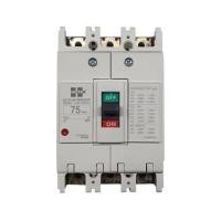 ราคา เซอร์กิตเบรกเกอร์ 3 โพล 3 เฟส HI-TEK HT125-CP 75 แอมป์ (1291437)