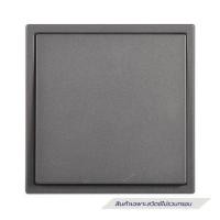 ราคา ชุดสวิตช์ทางเดียว 1 ช่อง SIMON SIMi7-011-GR สีเทาหม่น (1327007)