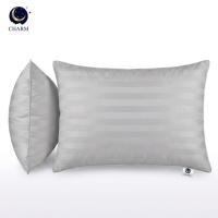 ราคา หมอนหนุน CHARM SWEET DREAM ขนาด 19X29 นิ้ว 1000 กรัม สี GREY (888127600039)