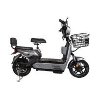 ราคา จักรยานไฟฟ้า SAGASONIC SA-J20 สีเทา (1271484)