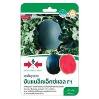 ราคา เมล็ดพันธุ์แตงโมลูกผสม ซันแบล็คเอ็กซ์แอล F1 ตราศรแดง (1324218)