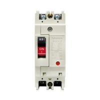 ราคา ออโต้เบรกเกอร์ TAKAMURA TNF63CW-2P63A 7.5KA 1 เฟส (1250025)