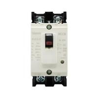 ราคา ออโต้เบรกเกอร์ TAKAMURA TNF30CS-2P20A 2.5KA 1 เฟส (1250031)