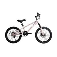 ราคา จักรยานเด็ก 20 นิ้ว QITONG TN24Q22 สีชมพู (1285365)
