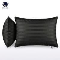 ราคา หมอนหนุน CHARM SWEET DREAM ขนาด 19X29 นิ้ว 1000 กรัม สี OLIVE BLACK (888127600036)