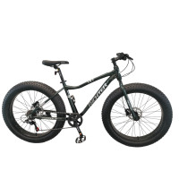 ราคา จักรยานเสือภูเขาล้อโต RICHTER CHOPPER 1.0 ขนาดวงล้อ 26 นิ้ว ไซส์ 17 สี เขียว (888190900072)
