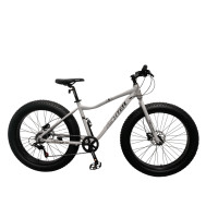 ราคา จักรยานเสือภูเขาล้อโต RICHTER CHOPPER 1.0 ขนาดวงล้อ 26 นิ้ว ไซส์ 17 สี เทา (888190900074)
