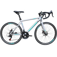 ราคา จักรยานเสือหมอบ RICHTER ACTIVE ขนาดวงล้อ 700C ไซส์ 50 สีเงิน (888190900146)
