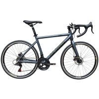 ราคา จักรยานเสือหมอบ RICHTER ACTIVE ขนาดวงล้อ 700C ไซส์ 48 สีเทา (888190900141)