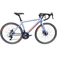 ราคา จักรยานเสือหมอบ RICHTER ACTIVE ขนาดวงล้อ 700C ไซส์ 50 สีฟ้า (888190900147)