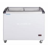 ราคา ตู้แช่แข็ง ฝากระจกโค้ง LuckyStar ลักกี้สตาร์ รุ่น EVEREST 280 ความจุ 9.9 คิว (004712)