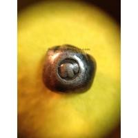 ราคา พดด้วงเม็ดสลึงตราช้างการ์ตูน-หอยสังข์ สุโขทัยมีบาก ( หายากมาก มาก ) (335)