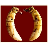 ราคา เขี้ยวหมีแกะ