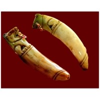 ราคา เขี้ยวหมูตันแกะเสือ