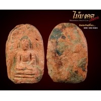 ราคา พระคงเทศบาล