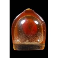 ราคา พญาเต่าเรือน(เต่าหิน)แช่ในนำมัน หลวงพ่อสนิท วัดลำบัวลอย