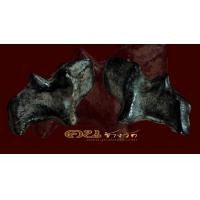 ราคา วัวธนูครูบานันตา