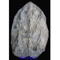 ราคา พระพิจิตรข้างเม็ด