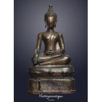 ราคา เชียงแสนไชยปราการ 5 นิ้วบัวเด็งๆ สูง 10 นิ้ว