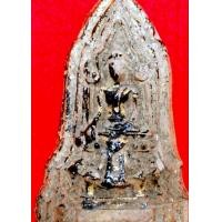 ราคา พระโคนสมอเนื้อดิน