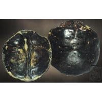 ราคา ปั้นเหน่งล้านนาโบราณ