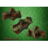 ราคา วัวธนูครูนันตาวัดทุงม่านใต้สวยแชมป์