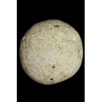 ราคา ลูกอมหลวงพ่อปาน วัดบางนมโค