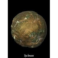 ราคา ลูกอมผงพรายกุมาร หลวงปู่ทิม