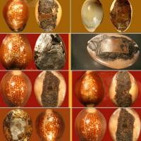 ราคา รูปเบี้ยแก้สายอ่างทองบางส่วน ของชอบของสะสมของผม